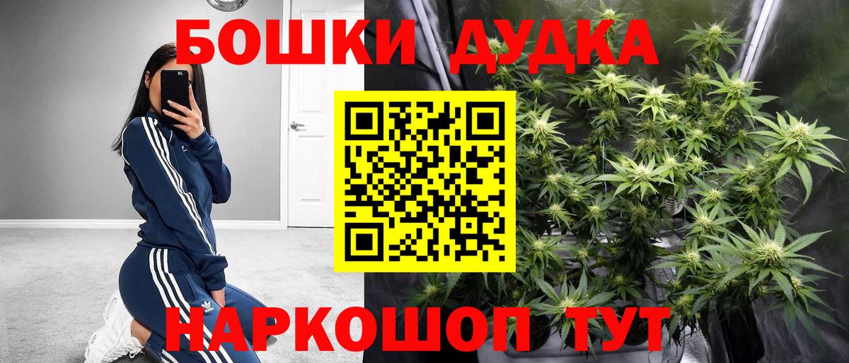 Каннабис планчик Кузнецк